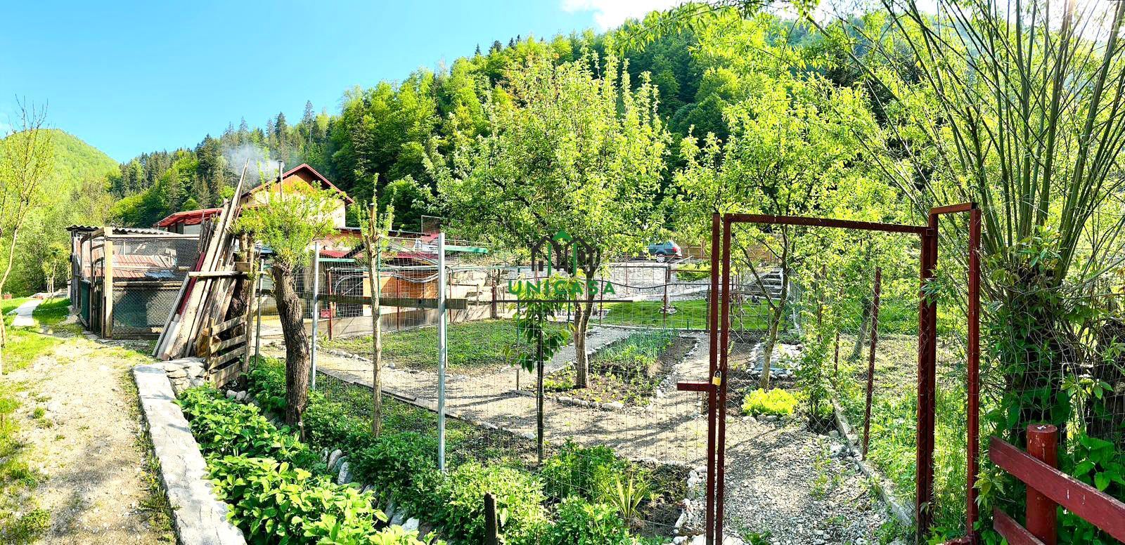 Casa de vacanta / Pensiune / Voineasa - Poză 13