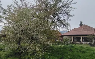 DE VANZARE CASA 5CAMERE ZONA CENTRALA TALMACIU - Poză 40