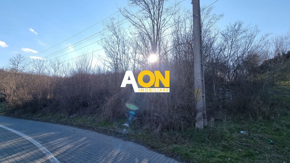 De vanzare 943 mp teren intravilan, cu utilitati, Oarda de Sus - Poză 1