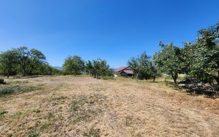 De vanzare teren 10.651mp intravilan, parcelabil, Oarda de Sus - Poză 9