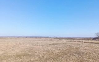Teren arabil 1 ha în Cilibiu, Golaiesti - Poză 1