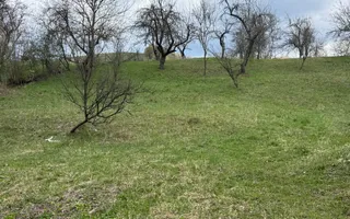 TEREN INTRAVILAN 4365 MP POENARII DE MUȘCEL  JUDEȚUL ARGES - Poză 29