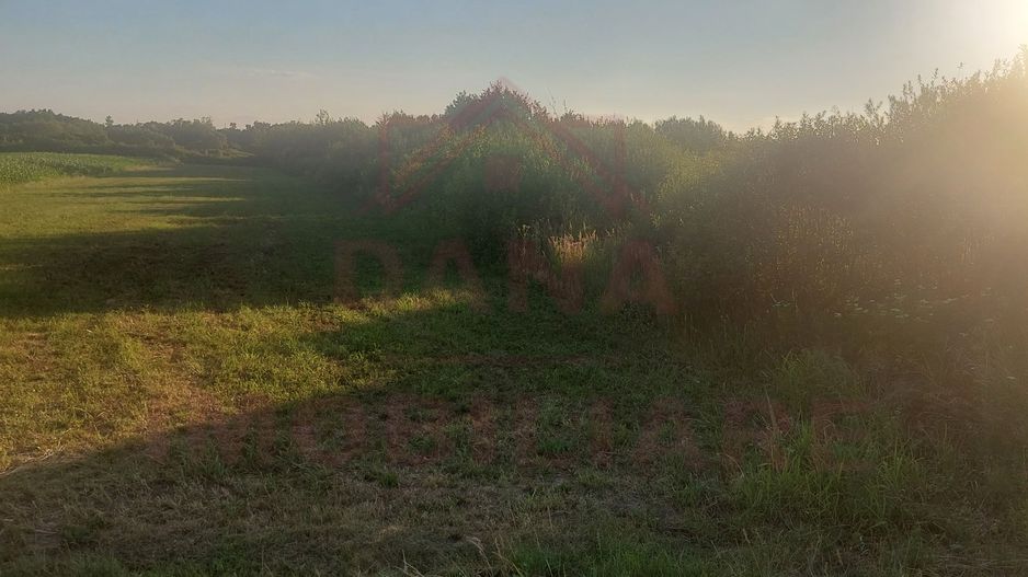 TEREN DE VÂNZARE-32480 mp CARANSEBEȘ JUD.CS,  0% COMISION - Poză 4