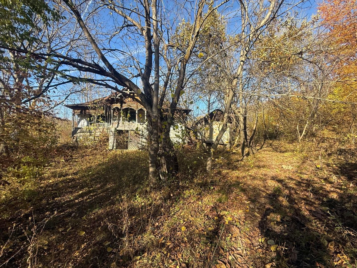 Teren langa pădure 6400mp+casa demolabila-deschidere 35 ml - Poză 2