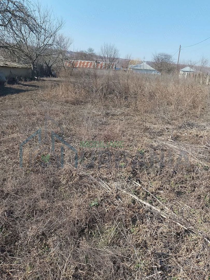 Casă bătrânească de vânzare în sat Alexandru cel Bun, comuna Vlădeni, județul Iași - Poză 3
