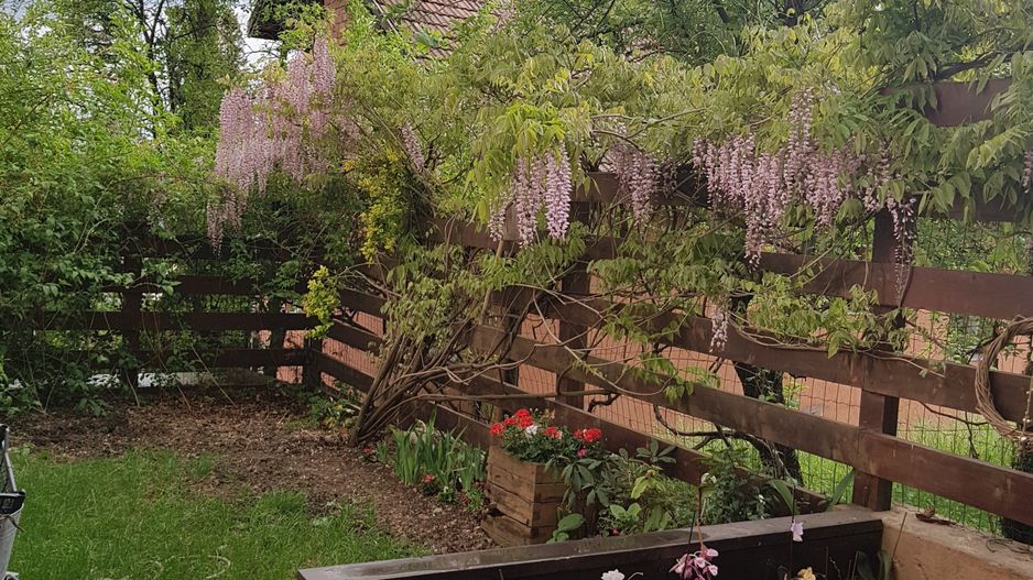 De inchiriat! Casă deosebita in Gruia, panorama spectaculoasa! - Poză 9