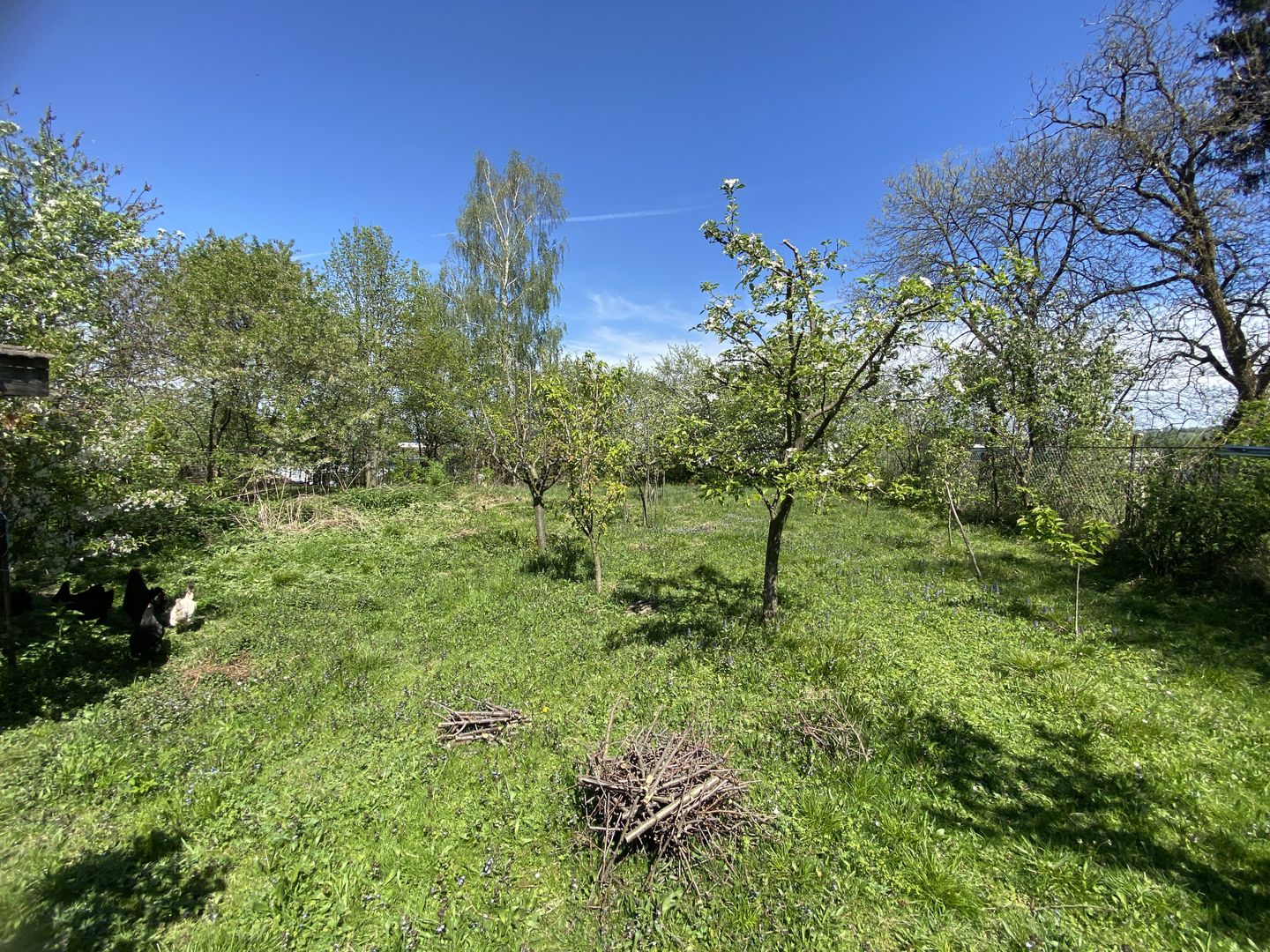 Oferta rezervata! Casă Individuală de Vânzare în Săcele - Poză 4