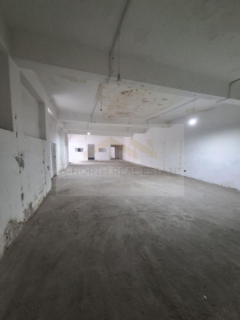 Zona centrala/Chirie/ industrial/ depozit. - Poză 3