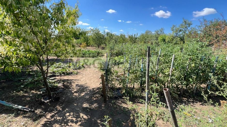 casa individuala Varias apa centrala pe gaz canalizare 1500mp - Poză 21