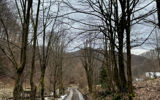 Teren extravilan de vânzare | 1402 mp | Blidari | zonă superbă - Poză 3