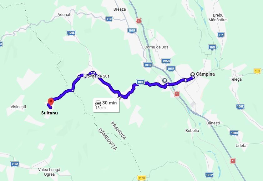 Teren 4044mp, 18 km de Campina, asfalt, utilitati, pretabil investitie - Poză 6