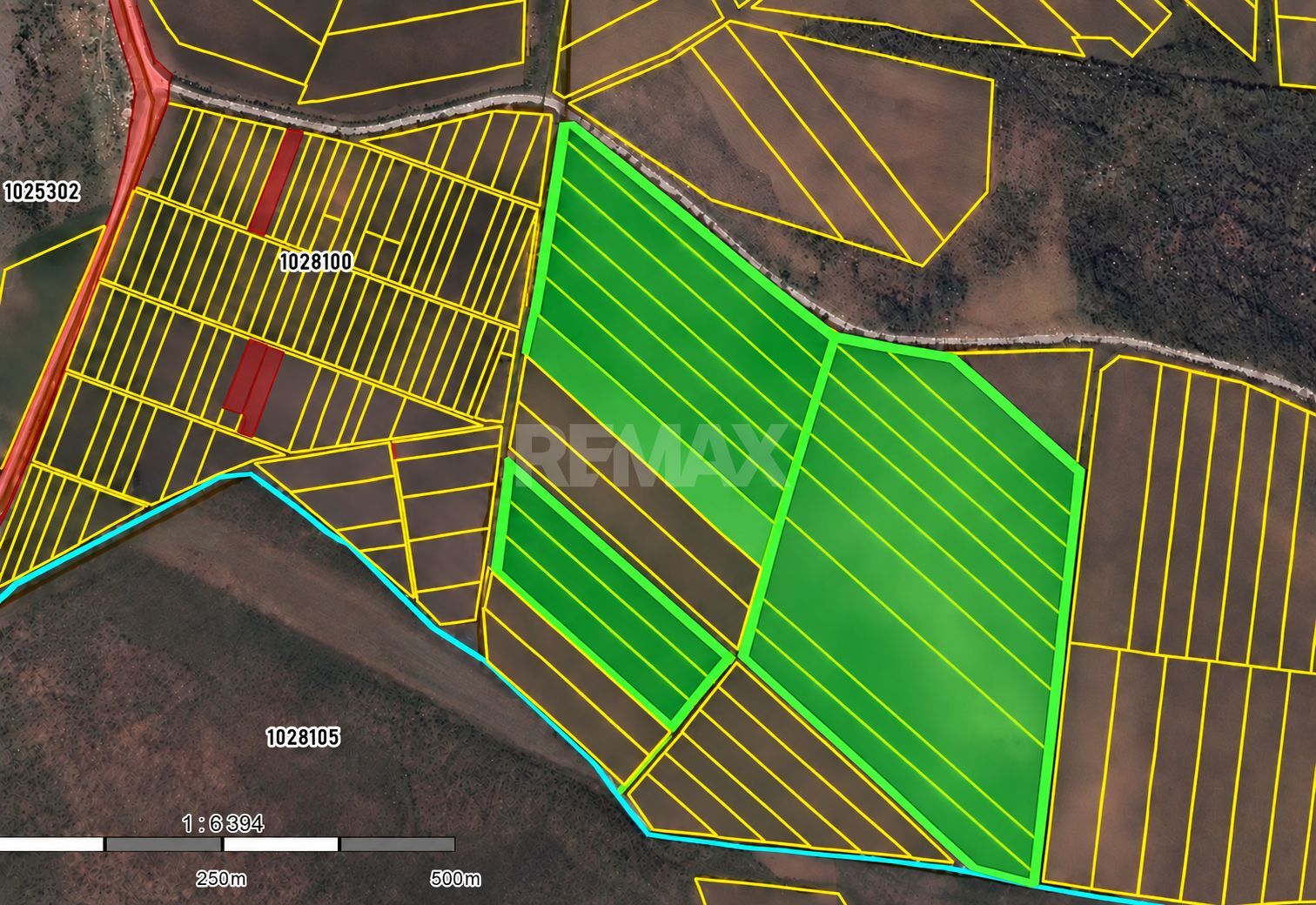 LIVADĂ DE NUCI – 24,5 HA | ȚÎNȚĂRENI, ANENII NOI - Poză 12