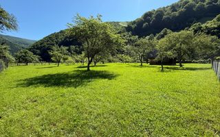 Teren Intravilan | 3050 Mp | Ieșire la Râu | Râul Sadului - Poză 4