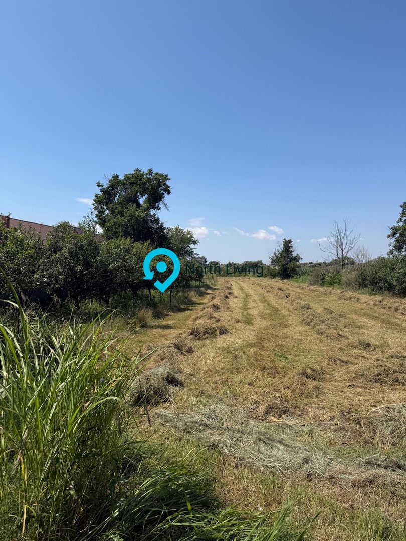 Teren intravilan 4.000 mp Comana (Budeni) | 10 €/mp negociabil | Comis - Poză 7