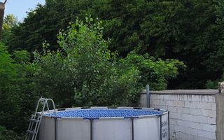 Refugiul la marginea pădurii in Orșova, pe malul Dunării - Poză 25