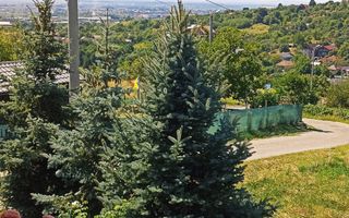 Vilă P+M, 10 ari teren, panoramă superbă – Valea Borcutului - Poză 9