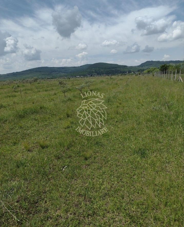 Teren 23700 mp (2,37 ha)-ideal investitie,cabana-Sesul Jelnei - Poză 2