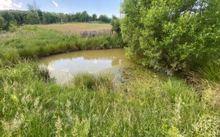 Teren 6500 mp-Lac-vedere panoramica-ideal cabana-Cusma - Poză 5