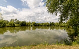 Afacere la cheie - domeniu cu lacuri de pescuit  - Sat Bunești, Com. Malureni - Poză 14