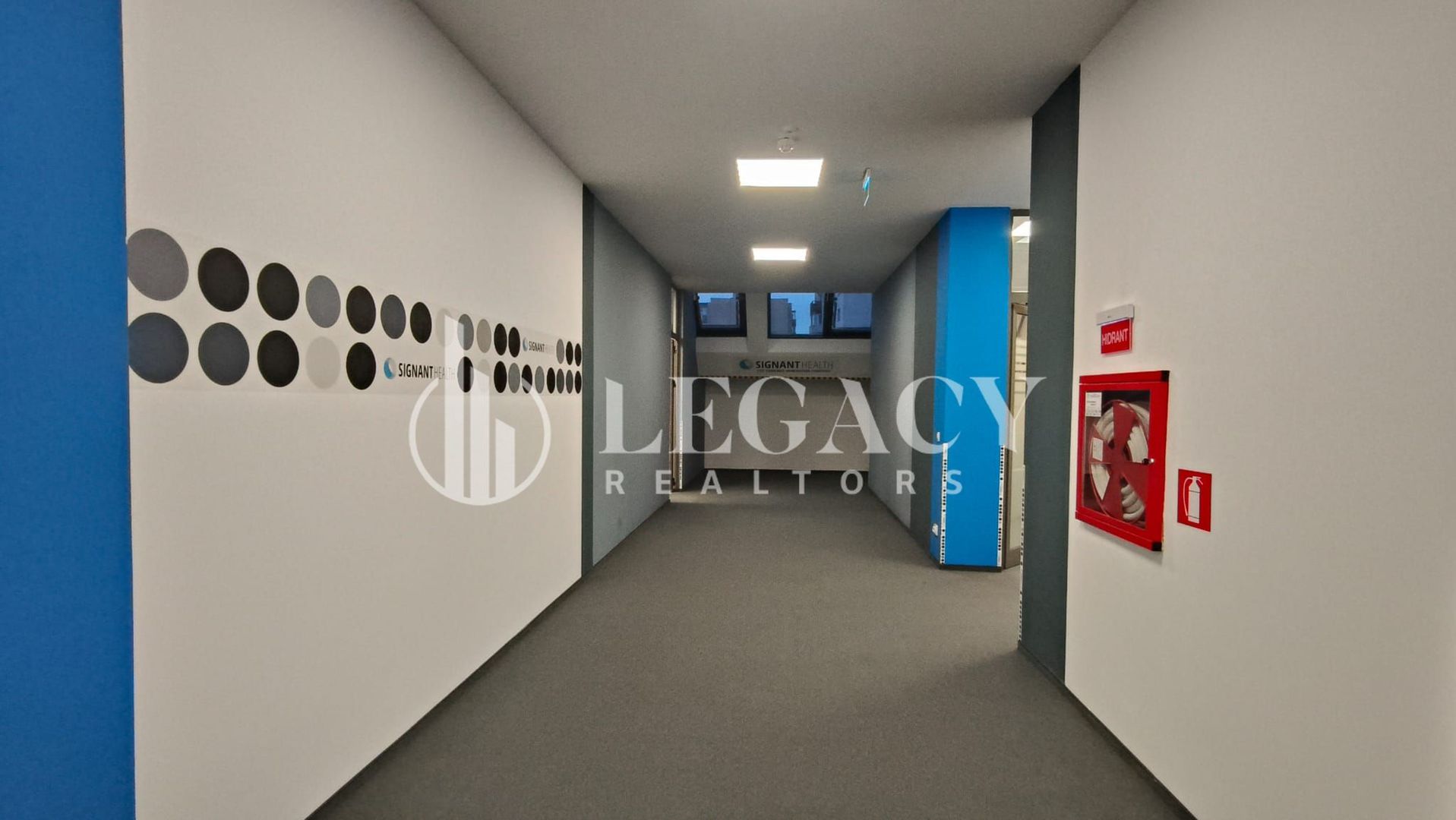 Birouri premium la etaj complet, suprafețe flexibile de la 487 mp Iași - Poză 4