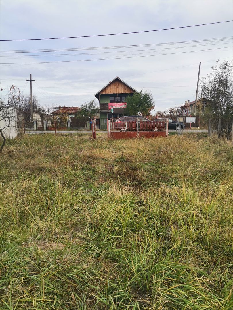 Vanzare vila Hintesti, stradal - Poză 10