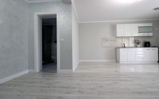 Curte, 4 apartamente, 8 camere, perfectă pt activități educaționale-Dumbravita - Poză 4