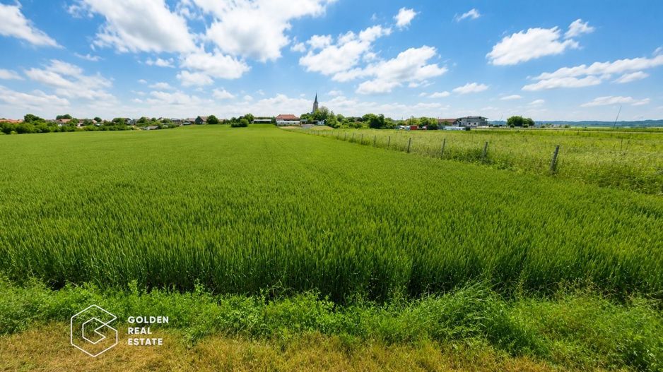 Teren intravilan, 5300 mp, Localitatea Vladimirescu, comision 0% - Poză 1
