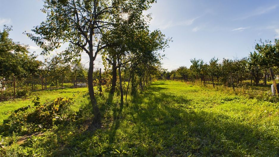 Casă cu 4 camere în Urseni, complet renovată! - Poză 21