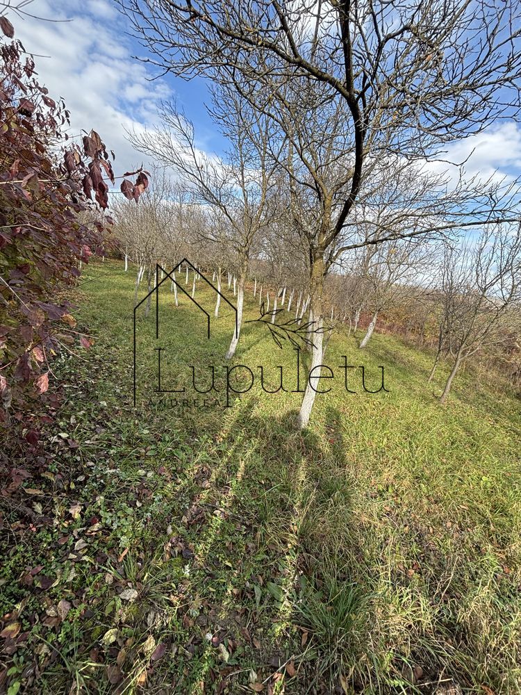 Casă Tradițională de Vânzare| Aciliu | Potențial investițional ridicat - Poză 3