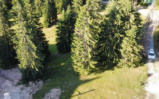 Teren intravilan 250 mp, Arieseni - Partie Ski - Poză 3