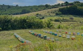De vanzare teren in comuna schitu duca cu iaz de peste si salcami - Poză 2