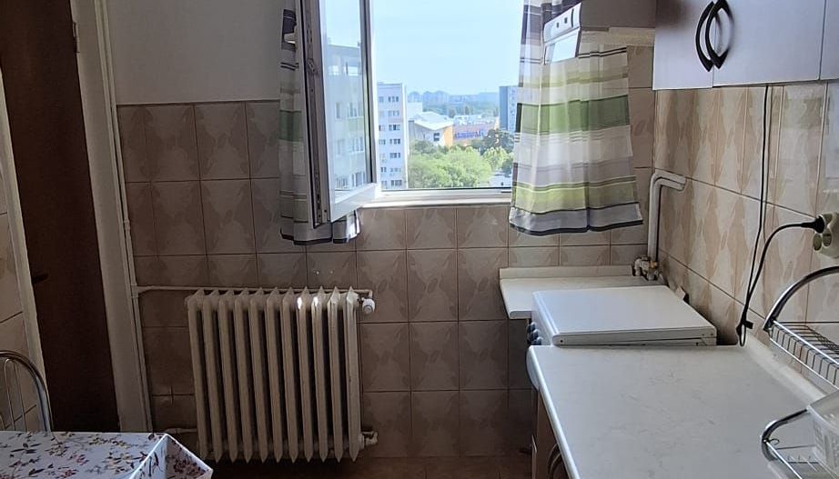 Apartament 2 camere Dristor / Park Lake / Stradal - Poză 10