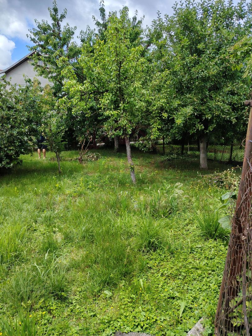 CASĂ DE VÂNZARE 5 CAMERE ÎN OȚELU-ROȘU, \JUD. CS - Poză 24