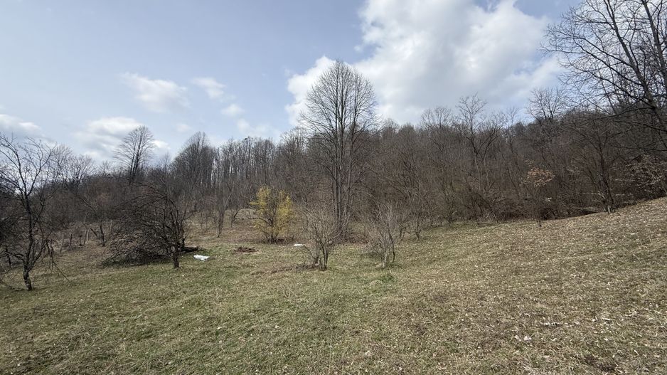 Teren 6040 mp la baza pădurii deschidere 40 ml - Poză 3