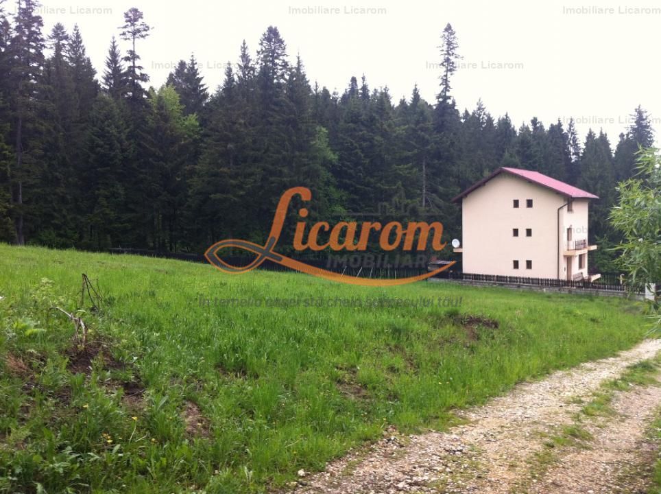 Teren intravilan Cotul Donului,pretabil Hotel/pensiune. - Poză 14