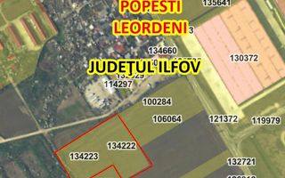 Teren intravilan 20,000mp Popesti-Leordeni intre centura Buc si A0 - Poză 2