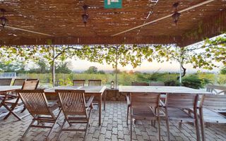 Pivnițele Birăuaș D.O.C Miniș - RATE FĂRĂ DOBÂNDĂ - Poză 28