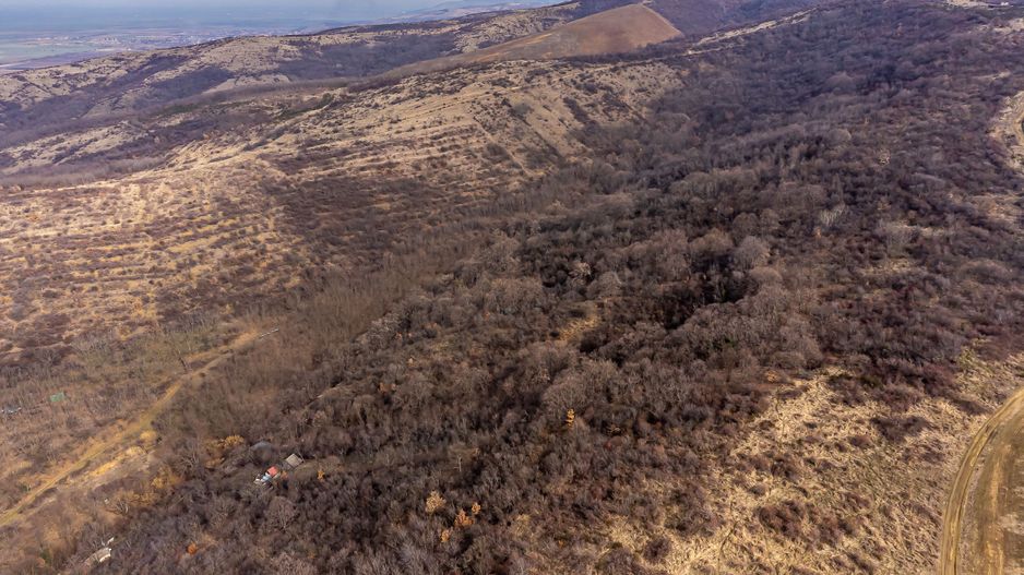 Teren în Ghioroc pe deal - Poză 6