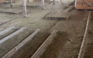 Teren intravilan 40.000 mp + hală 310 mp – Ivești, Galați - Poză 2