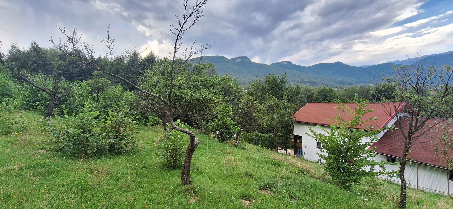 Bran-Predelut doua parcele de 2000+3000mp pret 25 euro/mp - Poză 12