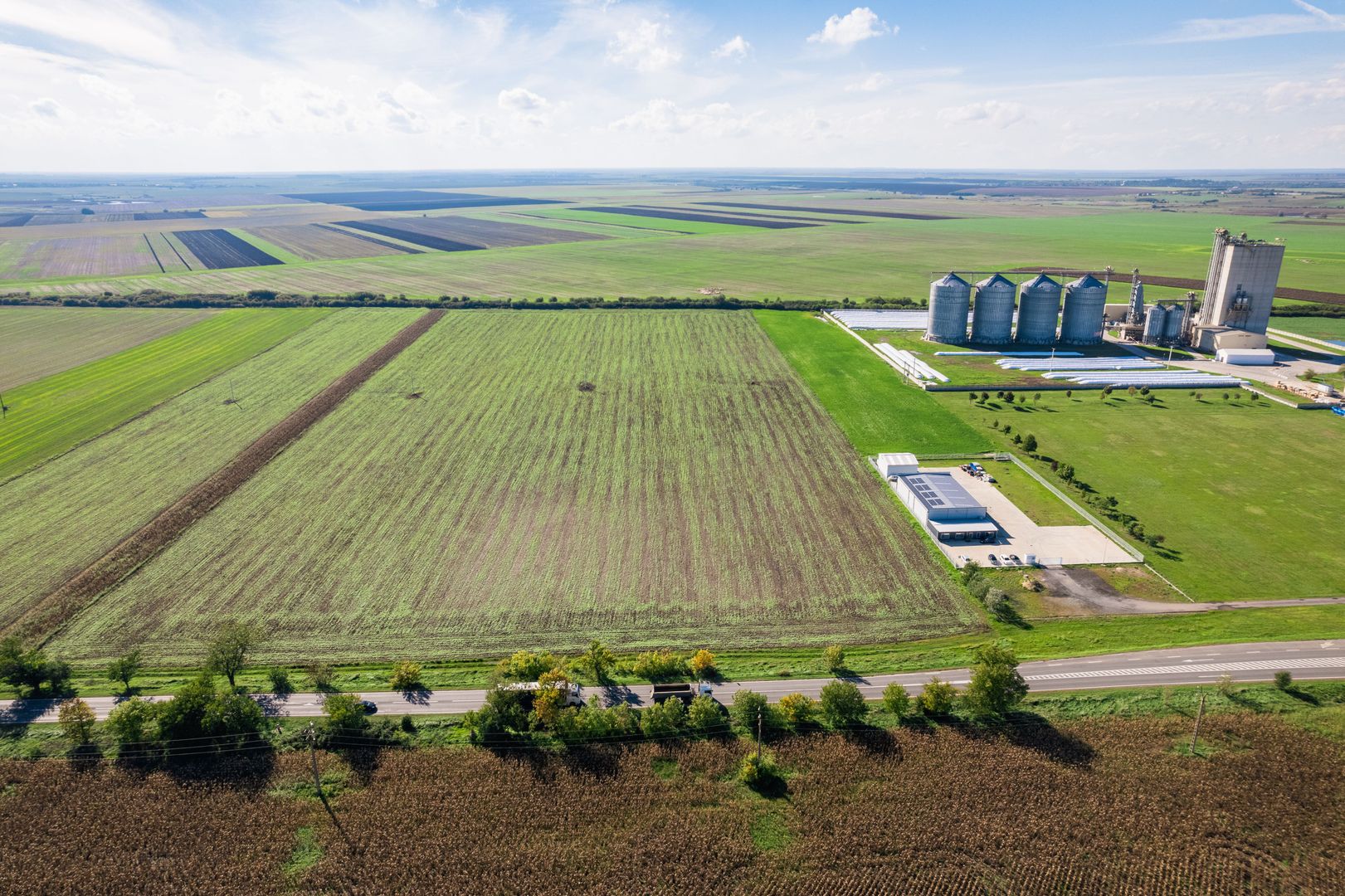 Teren de 104000 mp în Vinga - Poză 4