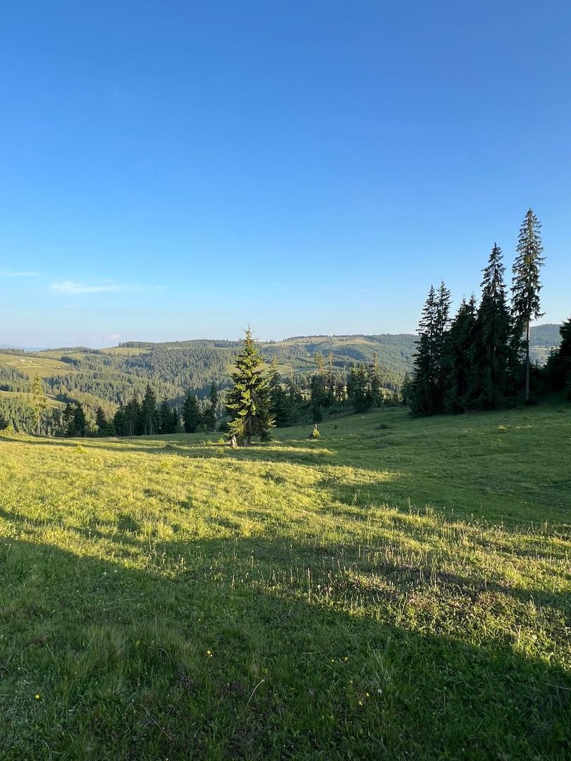 50 hectare teren | Moldova-Sulita | Potential turistic si agricol - Poză 17