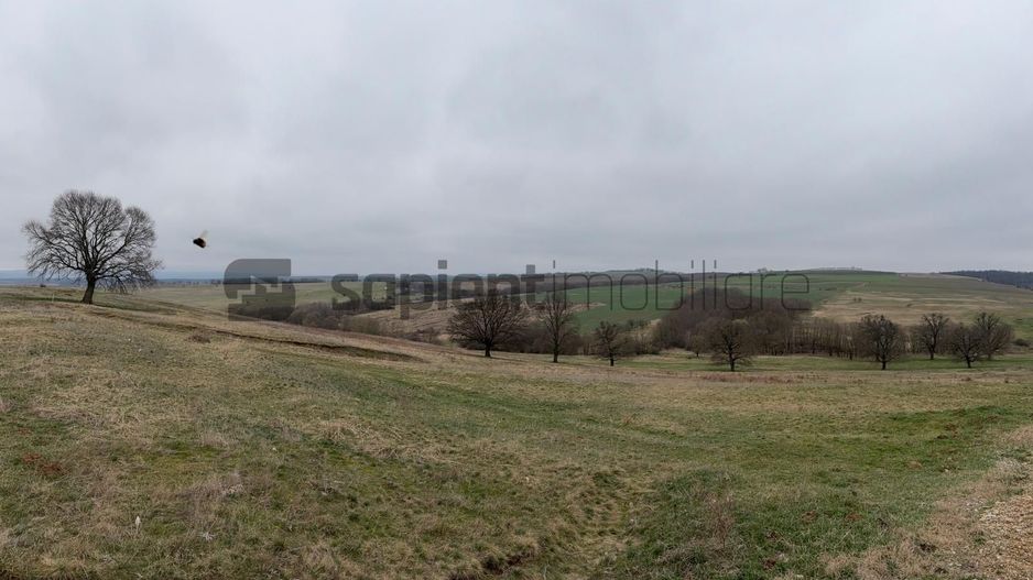 Teren agricol - Poză 6