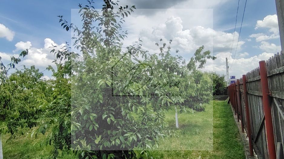 Casa Ciocanesti Cretu - 2 camere cu teren 2539 mp  - Jud. Dambovita - Poză 49