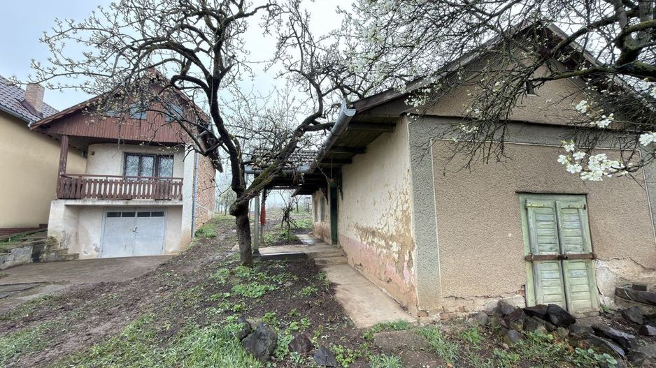 De vânzare 2 Case de vinificație cu Teren 4108 mp - Grădina Viilor - Carei - Poză 15