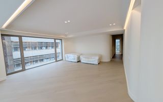 Innhiriere Penthouse Iancu Nicolae Gradina Zoologica - Poză 2