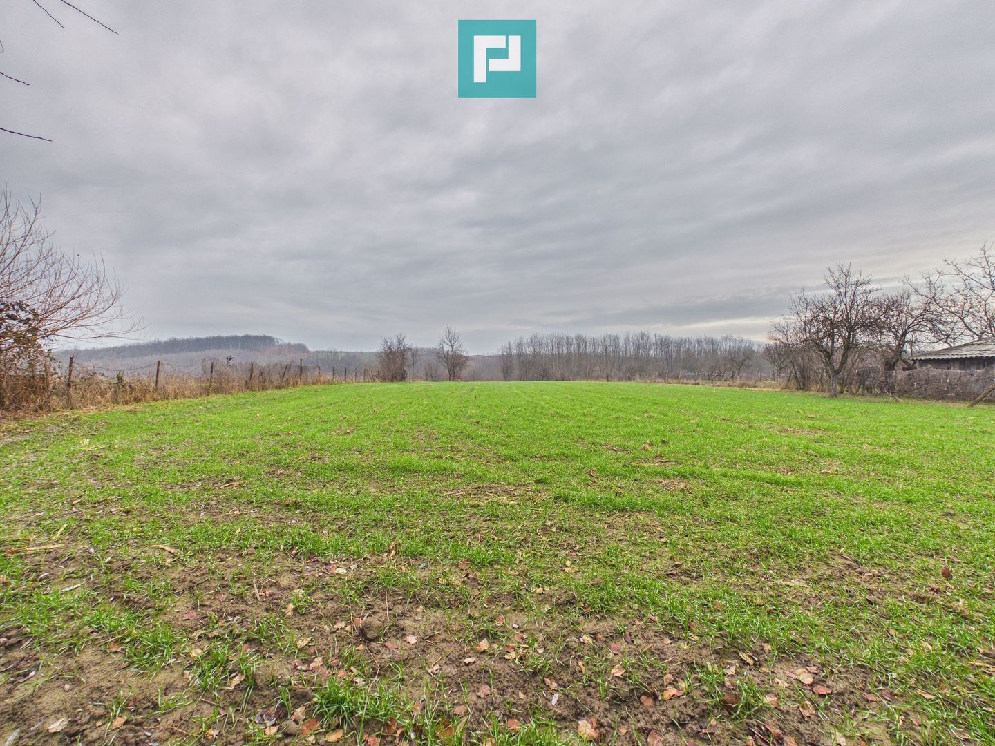 Casă 5 camere şi anexe în Cuied - Poză 3