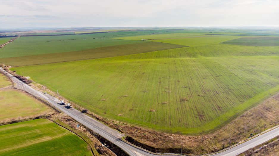 Teren 270,000mp Giarmata - Poză 2