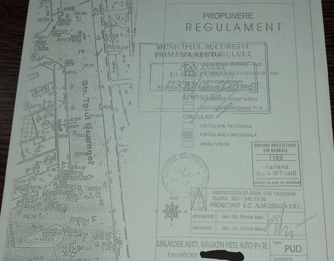 Teiul Doamnei numarul 89, Bucuresti, Sector 2 - Poză 5