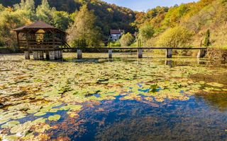 Domeniu în satul Căprioara - Poză 32